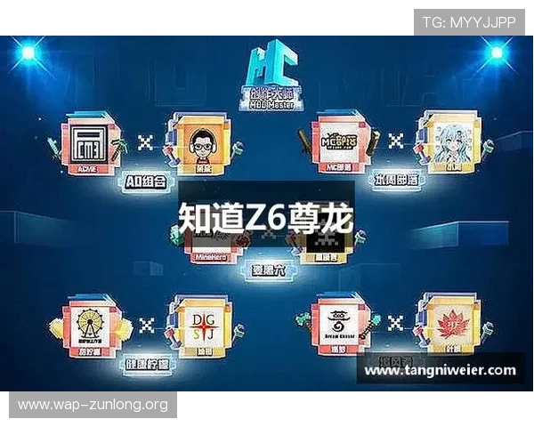 尊龙凯时平台是干嘛的，如何利用平台提升游戏体验和玩家互动效果