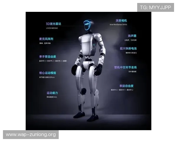 鲸鱼体育app下载官网最新版本下载安装指南，全面解析使用流程与注意事项