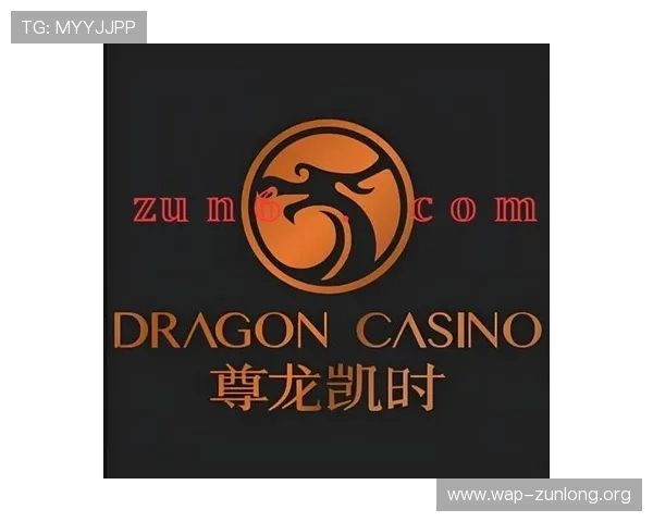尊龙凯时娱乐客服服务全方位介绍解决玩家疑问与问题的专业支持体系
